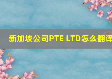 新加坡公司PTE LTD怎么翻译